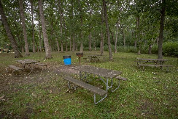 East open picnic area - no shelter - 50 people maximum
