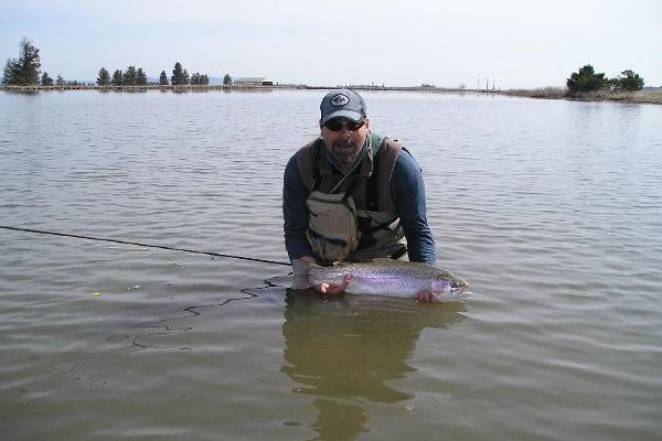 Big Kamloops Trout