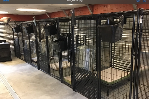 kennel prices per day