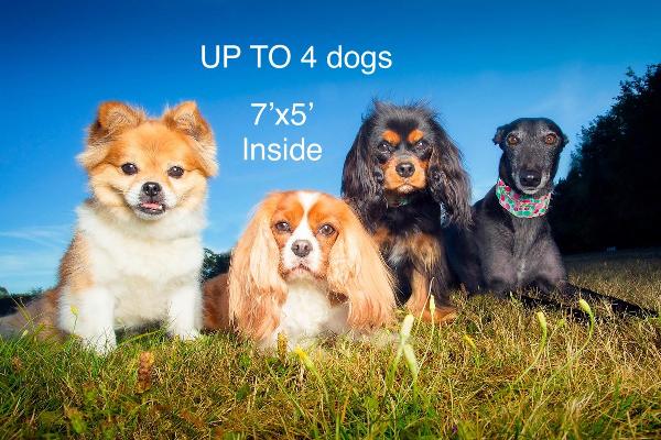 1st dog $35 daily $18 daily each additional Up to 4 dogs