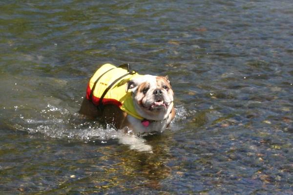 Russian River Adventures