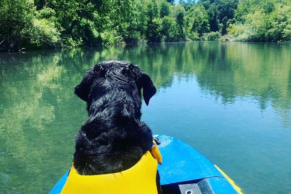 Russian River Adventures