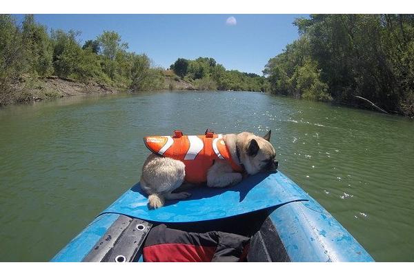 Russian River Adventures