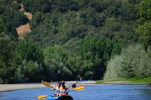 Float Through Vast Vineyards & Majestic Redwoods...