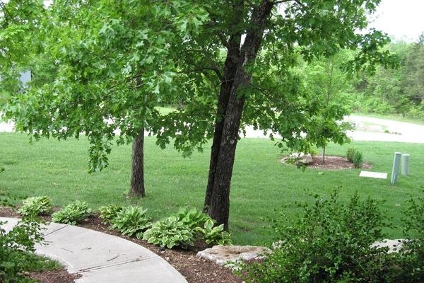 Front Porch View Summer