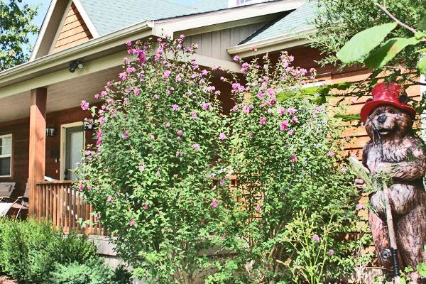 Rustic Elegance Branson Missouri