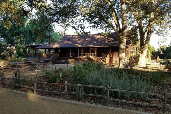 Native gardens in the courtyard as visitors approach the Lodge.