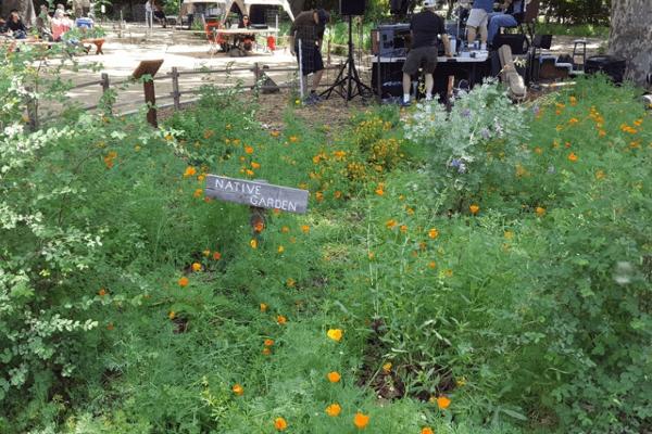 The courtyard is surrounded by native plant gardens, which are especially gorgeous in the spring.