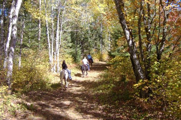 Sawtooth Mountain Stables, LLC