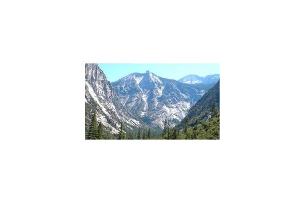 Sequoia Sightseeing Tours Inc