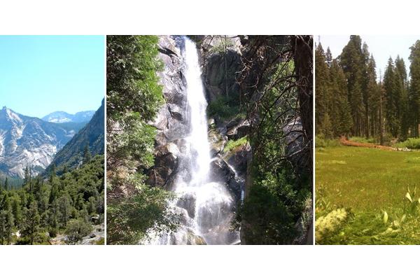 Sequoia Sightseeing Tours Inc