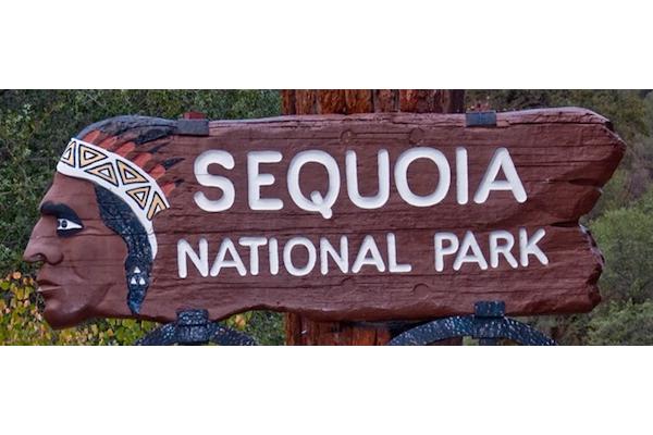 Sequoia Sightseeing Tours Inc