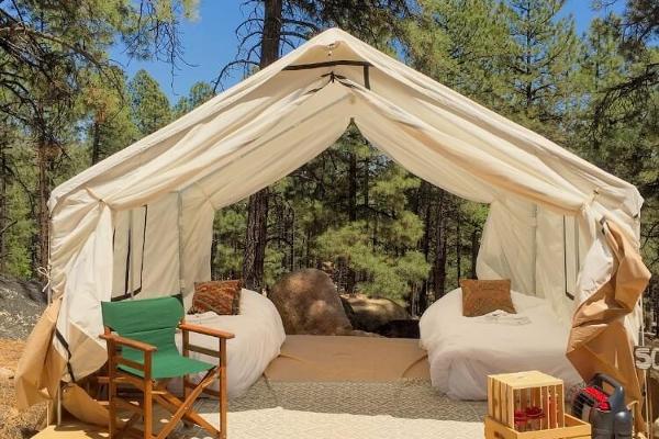 Safari Tent