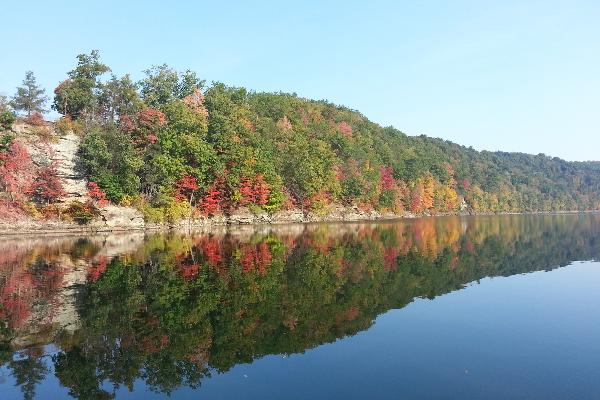 Sutton Lake Marina