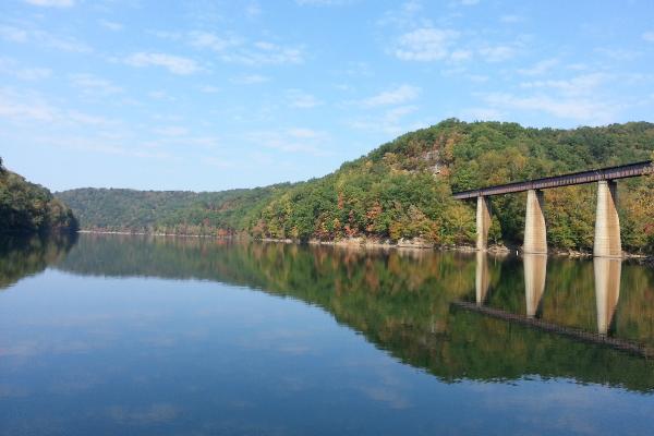 Sutton Lake Marina