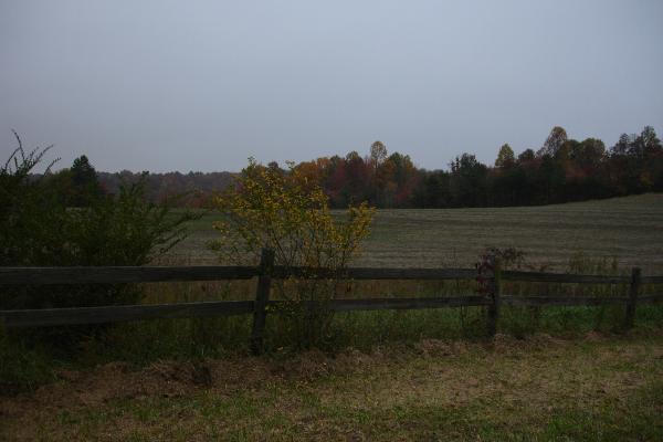 view from group site