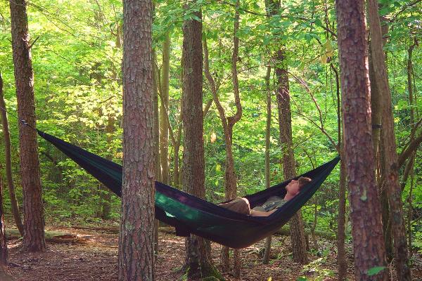 hammock site