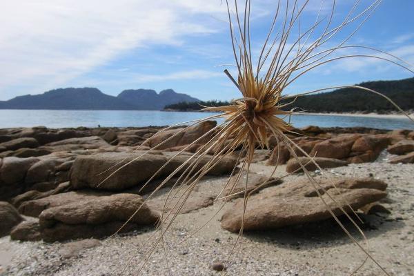 Freycinet Peninsula, East Coast, Tasmania