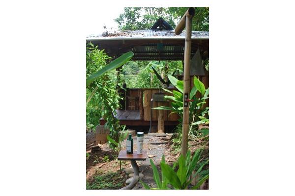 The Yoga Farm