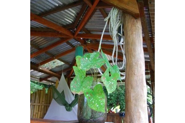 The Yoga Farm