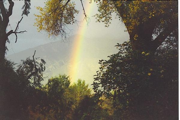 View from the Frida Room