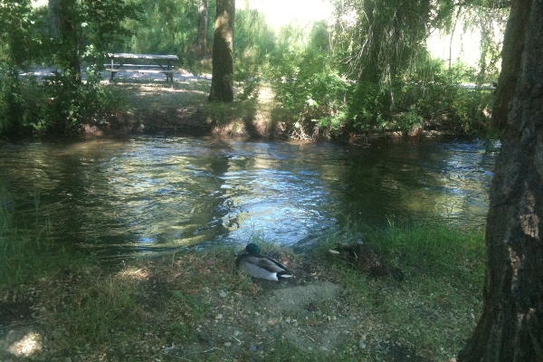 dutch s campground coldstream british columbia