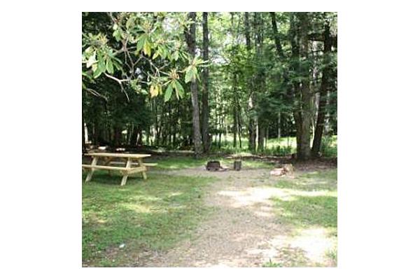 Fair Winds Cabin 3 Picnic Area