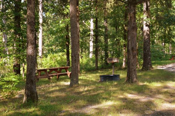 Wilderness Lakefront Resort