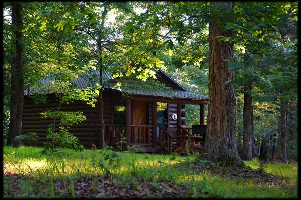 Cabin #1 