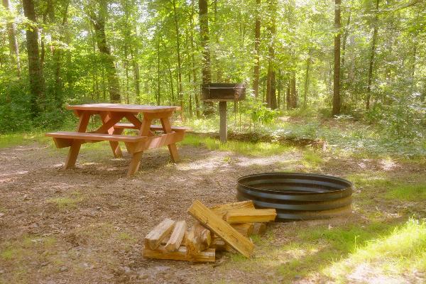 Charcoal grill, picnic table, and fire rings at every cabin