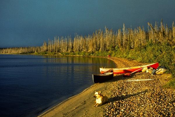 NWTC ~ Paddlers Gathering & Snow Walkers