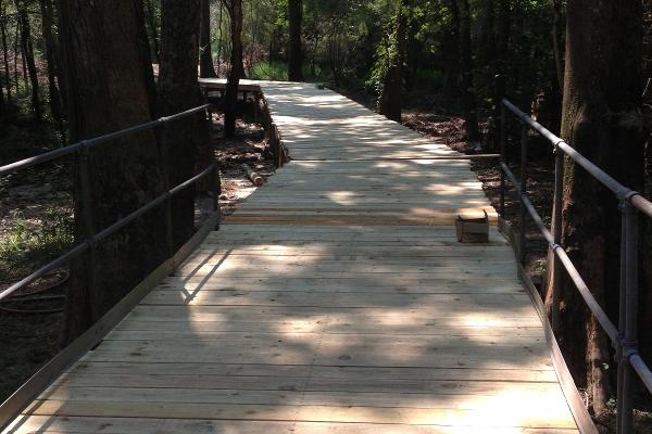 Boardwalk to beach